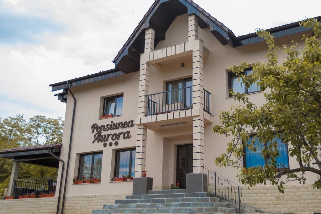 Hotel Pensiunea Aurora Racova Esterno foto
