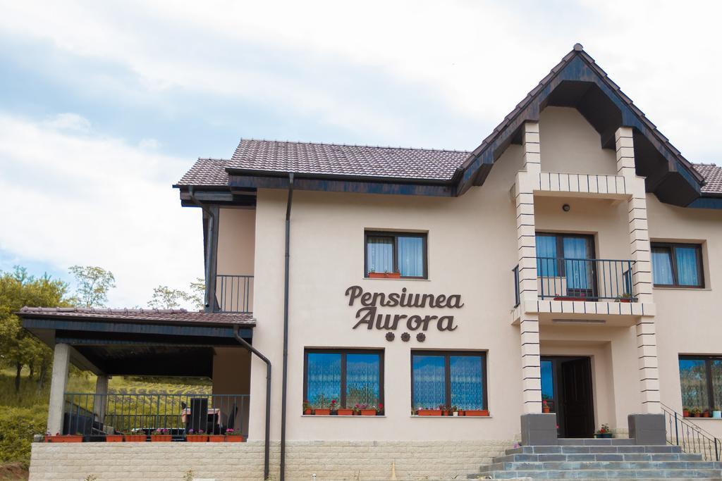 Hotel Pensiunea Aurora Racova Esterno foto